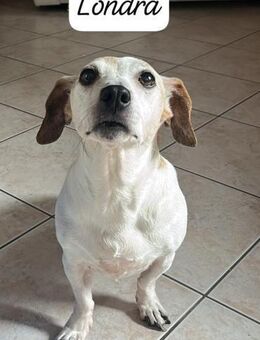 Londra 💜💜💜 Altersruhesitz gesucht - Bad Karlshafen