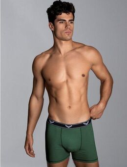 Trigema Boxer TRIGEMA Bequeme Pants mit Webgummibund (1-St)