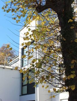 Zweitbezug! Exklusive Penthouse Wohnung mit großer, sonniger Dachterrasse! - Bonn