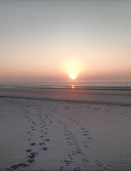 Frau für Begleitung am 28.11.Nachmittags bis 30.11.2025 / Mittags gesucht - Aschaffenburg