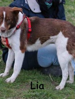 Lia - sucht einen Platz in deinem Herzen - Kissing