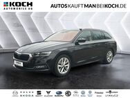 Skoda Octavia, 2.0 TDI Combi First Editon, Jahr 2020 - Neuruppin