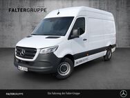 Mercedes Sprinter, 3ochdach Basic, Jahr 2023 - Neustadt (Weinstraße)