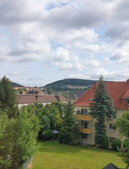 Günstige 4 Räume für ihre Familie, Bad mit Fenster, großer Garten und neuem Boden! - Aue