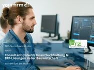 Consultant (m/w/d) Finanzbuchhaltung & ERP-Lösungen in der Bauwirtschaft - Frankfurt (Main)