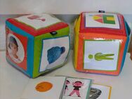 SET Montessori Aktionwürfel Würfel Karte Lernen Baby Kind Zwillinge - Haldensleben