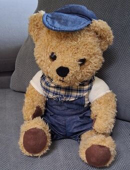 Niedlicher Teddybären als Junge - Görlitz