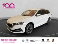 Skoda Octavia, 2.0 TDI Combi Style Black Week uv, Jahr 2023 - Köln