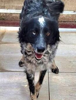 Anna - Hoffnung auf eine bessere Zukunft - Mettmann