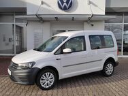 VW Caddy, 2.0 TDI Trendline VW Caddy Kombi Trendline, Jahr 2019 - Annaberg-Buchholz