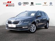 Skoda Octavia, 1.6 TDI Combi Style, Jahr 2019 - Rathenow