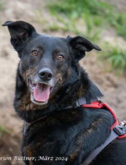 Moon ist ein richtiger Schatz - Egelsbach