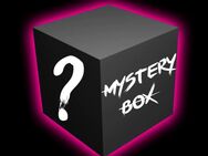 Sextoy Mystery Box - Salzgitter