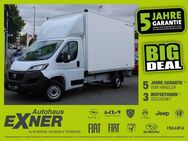 Fiat Ducato Maxi Koffer 35 L5H1 160 Multijet Humbaur - Plauen