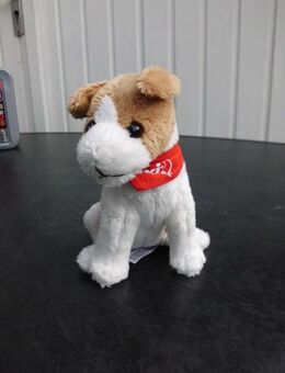 Flexi Hund Plüschtier Stofftier Kuscheltier 15 cm weiß-braun 3,- - Flensburg