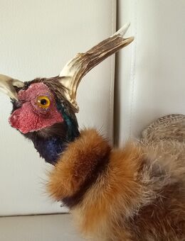 Herrlicher Wolpertinger - Göttingen