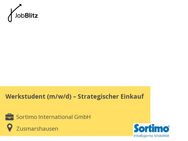 Werkstudent (m/w/d) – Strategischer Einkauf - Zusmarshausen