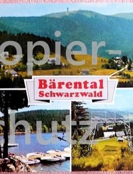alte Ansichtkarte Feldberg-Bärental im Schwarzwald - Niederfischbach
