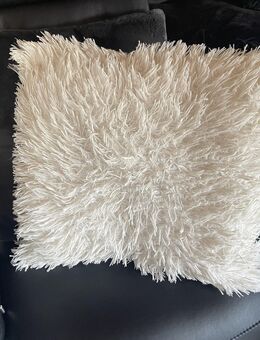 2 Dekokissen creme 46x46 cm - Goldbach (Bayern)