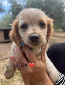 Der kleine Luca mit großem Herz - Grasbrunn