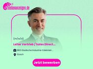 Leiter Vertrieb / Sales Director (m/w/d) - Elzach