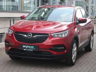 Opel Grandland X, Hybrid, Jahr 2021 - Hachenburg