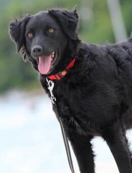 Noa 💗freundlich + super aufgeschlossen! - Hamburg