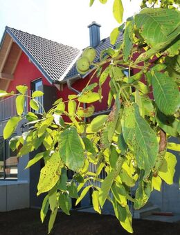 OH-129-25 Einfamilienwohnhaus in Neukirchen-Balbini zu Vermieten - Neukirchen-Balbini