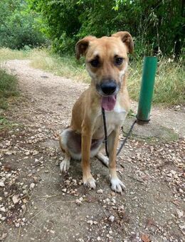 Ubav Der stille Held - Berlin