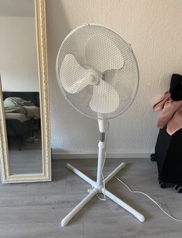 Standventilator - Berlin