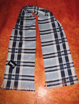 NEU mit ETIKETT * Edel * kuschelig * Herren oder auch Damen * Unisex * Tartan * Karo * Scarf * Schal * im Burberry- Style "COOL" dunkel- hell- blau * weiß * - Riedlingen
