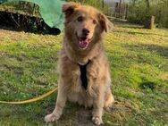 Goldschatz Skyla sucht ihr großes Glück - München