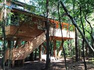Leben im Baumhaus - mitten im Wald! Tinyhaus - Ahausen