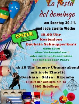 Bachata Schnupperkurs - Sindelfingen