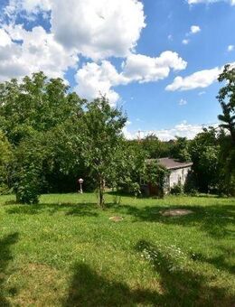 Haus & ELW & Bauplatz in Horheim gewünscht? - Wutöschingen