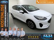 Ford Fiesta 1.0 M-Hybrid Titanium AHK+Kamera - Premnitz