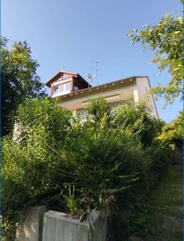 Schönes 3-Familienhaus in Toplage Weinburg / Radolfzell - tolle Aussicht, kurzfristig bezugsfrei! - Radolfzell (Bodensee)