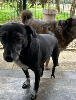 MALIN ZORICA - deine Erfahrung hilft mir - Overath