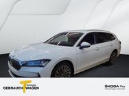 Skoda Superb, 1.5 TSI Combi mHEV LM18, Jahr 2024 - Remscheid