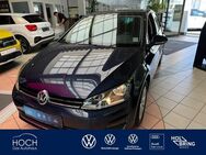 VW Golf, 1.6 TDI VII Lounge, Jahr 2016 - Gladenbach