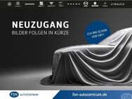 VW T-Roc, 1.5 TSI Life, Jahr 2024 - Demmin