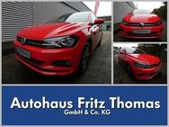 VW Polo, 1.0 TSI Active, Jahr 2021 - Celle