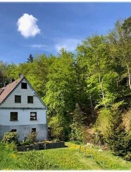 Ein Traum von Freiheit - Idyllisch gelegenes Landhaus in unmittelbarerer Nähe zum Naturpark Diemelsee! - Willingen (Upland)