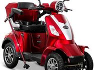 Rolektro Elektromobil E-Quad 15, Blei-Gel-Akku, 1000 W, 15 km/h, (mit Topcase)