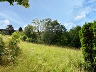 Großes, sonniges Baugrundstück mit vielseitigen Bebauungsmögichkeiten in Oberreifenberg - Schmitten