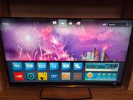 Philips Tv 50 Zoll 127 cm - Satteldorf