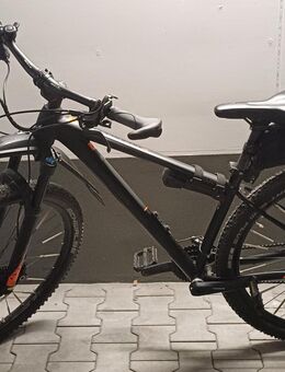 Bulls Copperhead 3 , Herrenfahrrad MTB Hardtail 29 Zoll Rahmenhöhe 41 cm - Erding