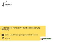 Mitarbeiter für die Produktionssteuerung (m/w/d) - Wietze