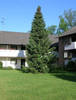renovierte 1-Zimmer-Wohnung in Pattensen für Senioren ab 60 Jahre mit WBS - Pattensen