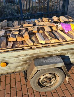Feuerholz Mischholz Laubholz Brennholz 50 cm gespalten - Altmärkische Höhe